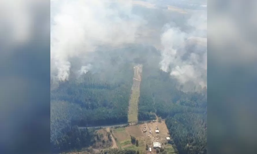 Brigadistas y helicópteros combaten tres incendios forestales en la región 