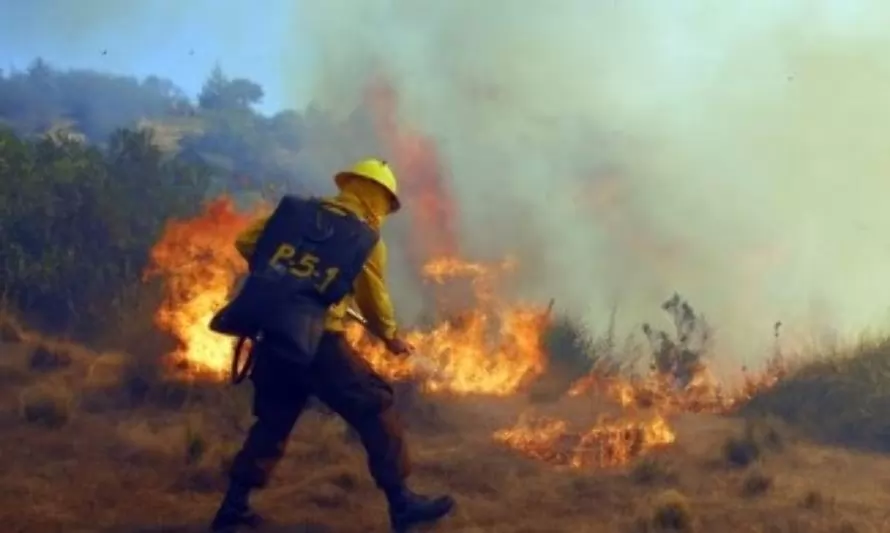 Revisa cuál es la situación actual de los incendios forestales en Los Lagos