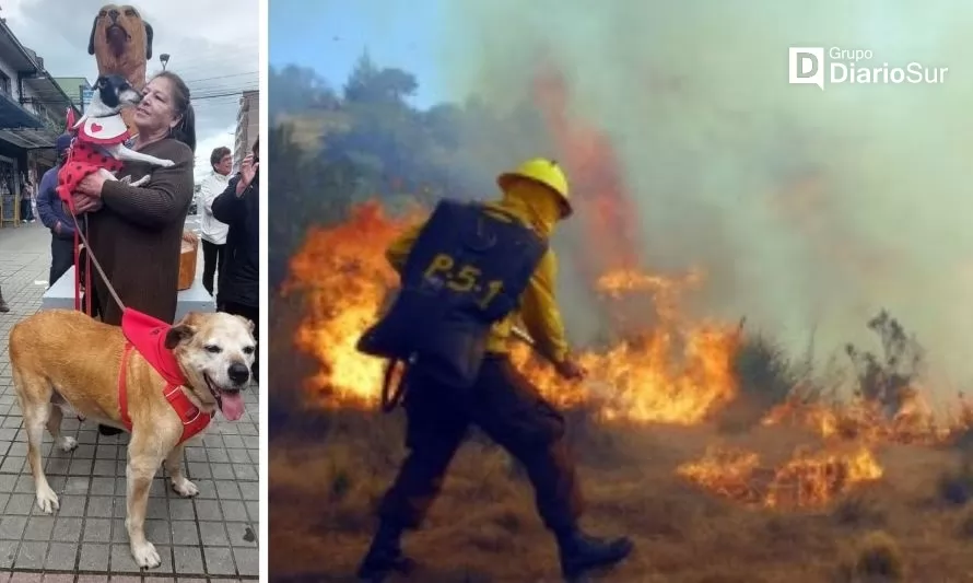 Don Luis Apolo se cuadra con campaña de ayuda a víctimas de incendios forestales