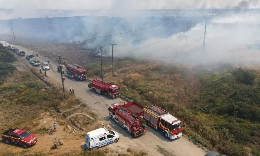 Presentan querellas contra imputados por iniciar incendios forestales en la región 