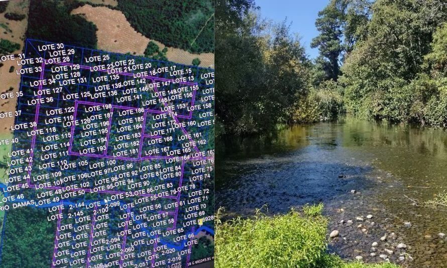 Denuncian "amenaza ambiental" por loteo emplazado en el nacimiento del río Damas