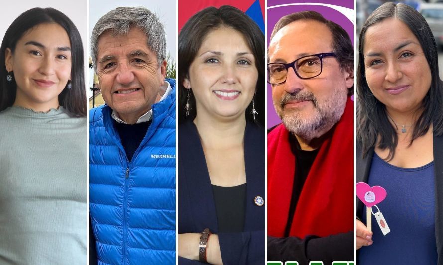 Consejo Constitucional: conoce a los candidatos de la Región de Los Lagos