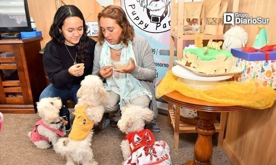 Estudiantes osorninos apoyan emprendimiento local de mascotas