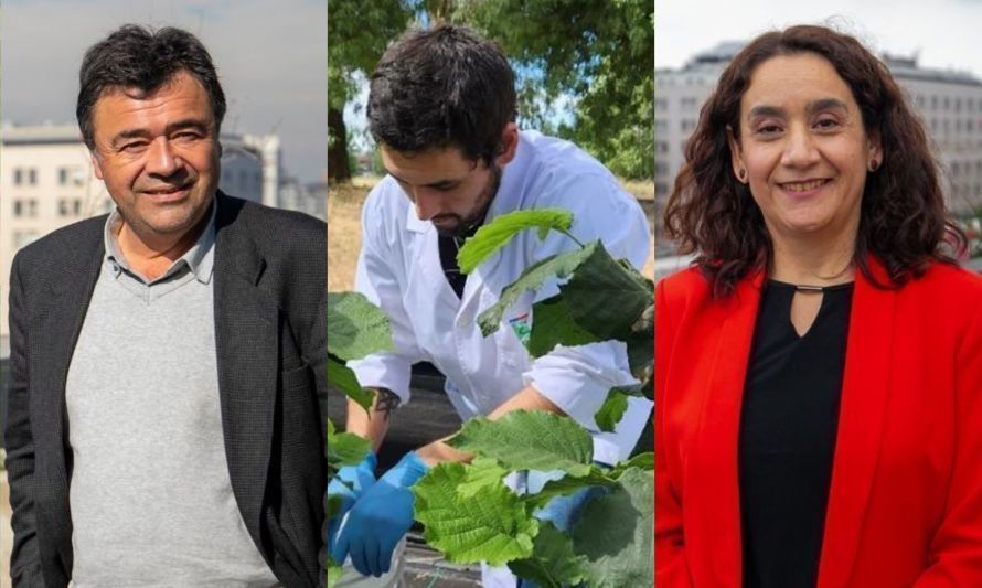 Bioinsumos: transición hacia una Agricultura Sostenible