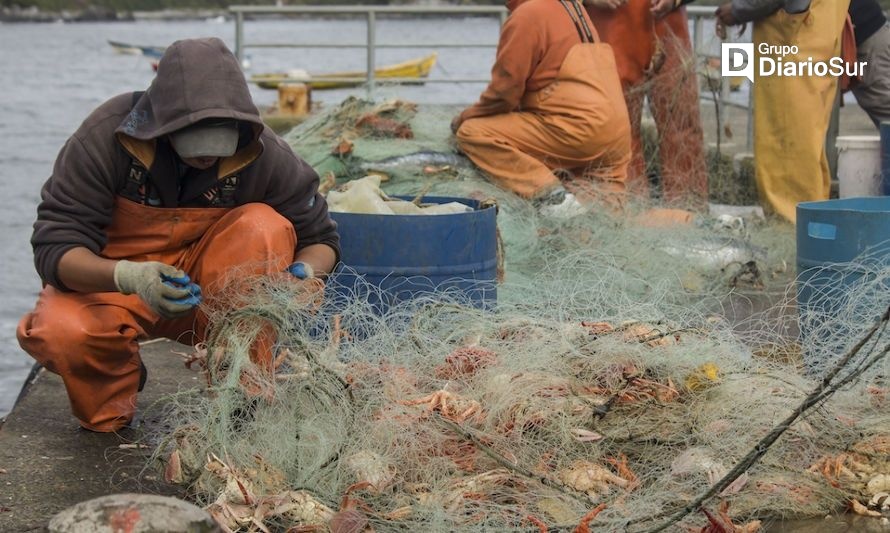 Termómetro Laboral muestra incremento en la tasa de ocupación en Osorno el último mes