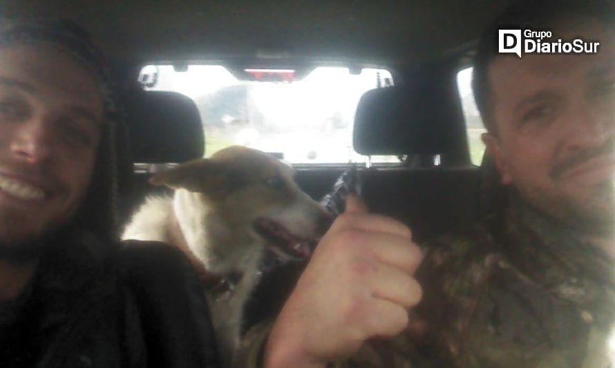 Turista argentino se reencontró con su perro extraviado en Osorno