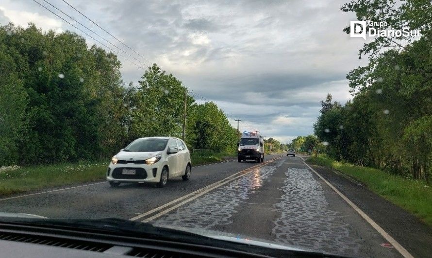 Adulto mayor murió tras ser atropellado en ruta Osorno - Puyehue