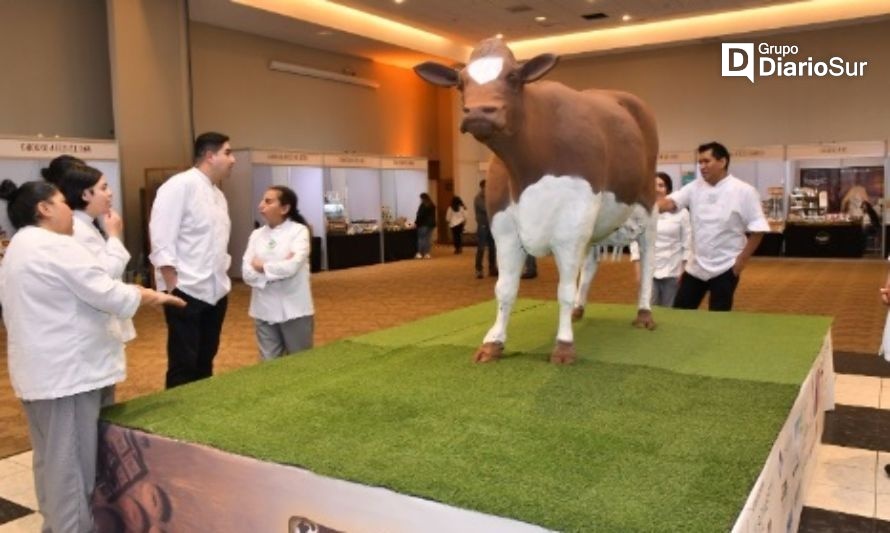 Con la vaca de chocolate más grande del mundo muestran lo mejor de Osorno