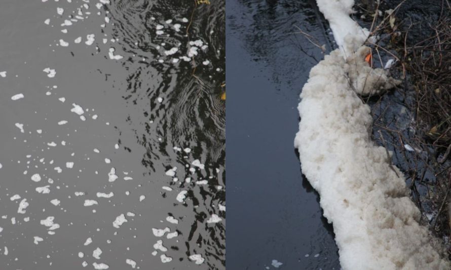 Denuncian nuevo episodio de contaminación en río Damas 