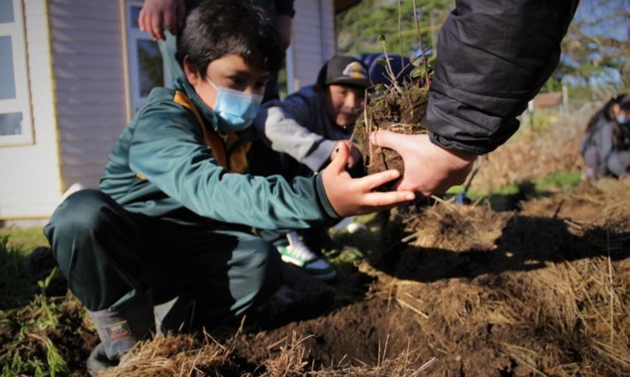 Un bosque en mi escuela: el programa con enfoque regenerativo para establecimientos rurales