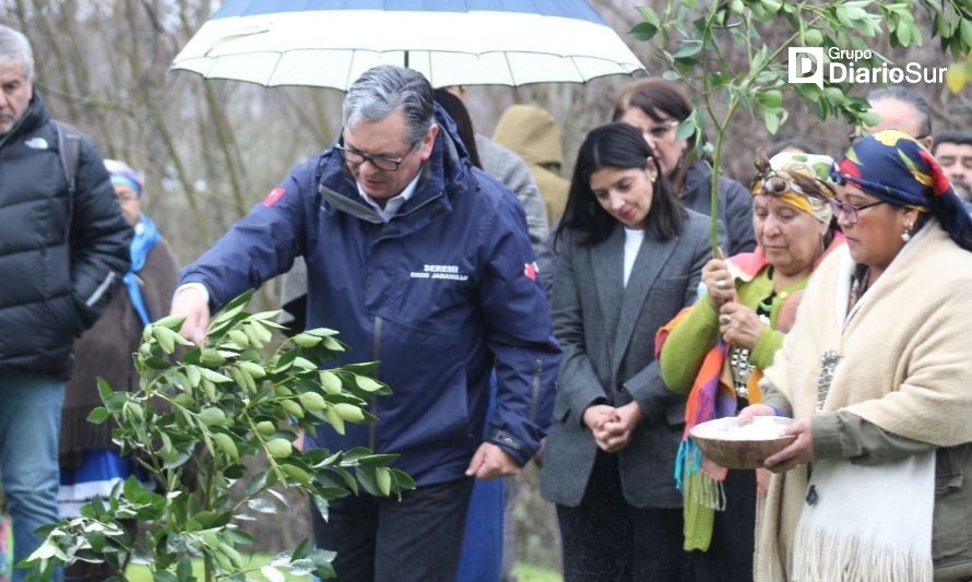 Conadi entregó más de 1.400 millones de pesos en beneficios a familias en la región