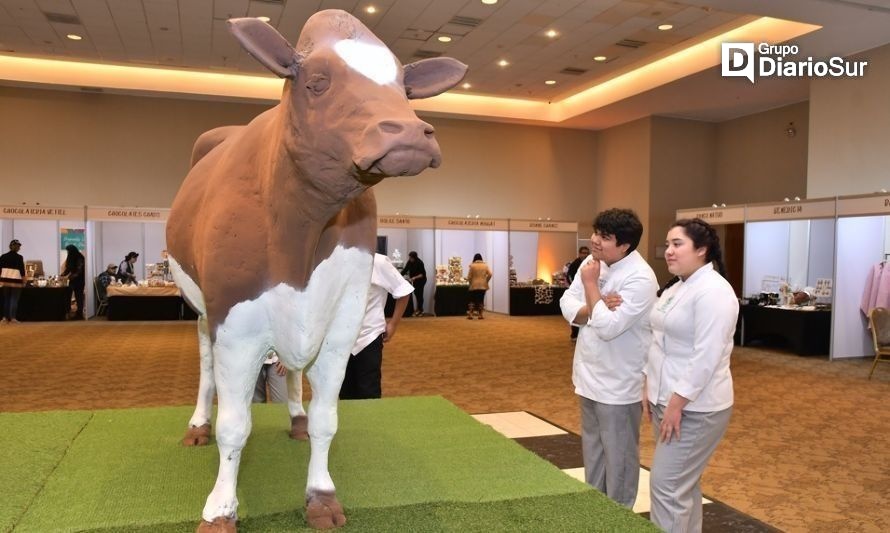 Osorno: anuncian investigación por consumo de la vaca de chocolate más grande del mundo