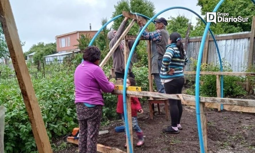 Inician tercera versión del Programa Huertos Urbanos en Puyehue