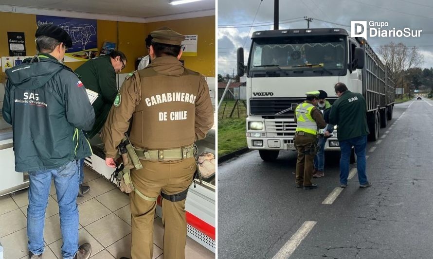 Carabineros realiza controles para evitar el delito de abigeato en la Provincia de Osorno