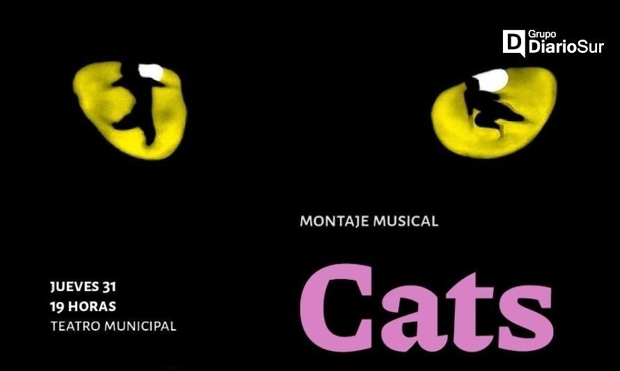 Montaje coreográfico de la obra "Cats" se presentará en Osorno