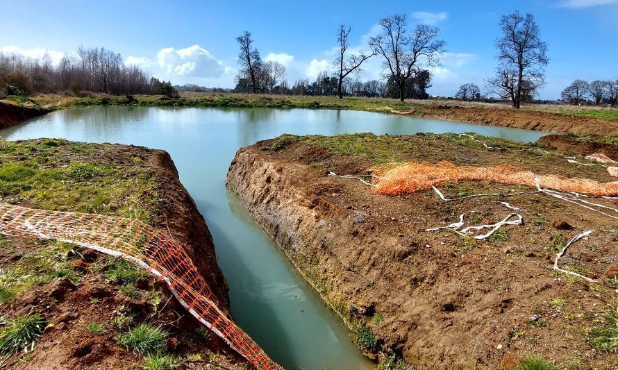 Ordenan medidas a constructora por alteraciones en Sistema de Humedales Ovejería  