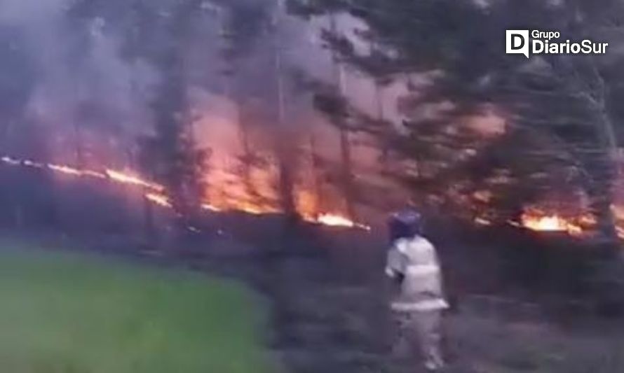 Quema fuera de control provocó incendio en Purranque