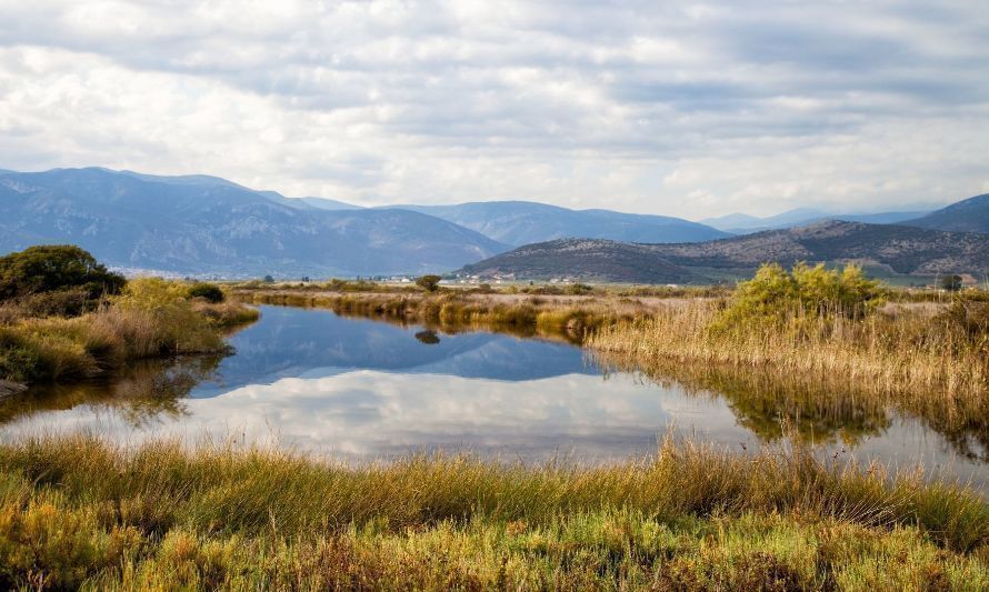 "Bingo por la naturaleza" invita a impulsar la conservación de los humedales de Llanquihue