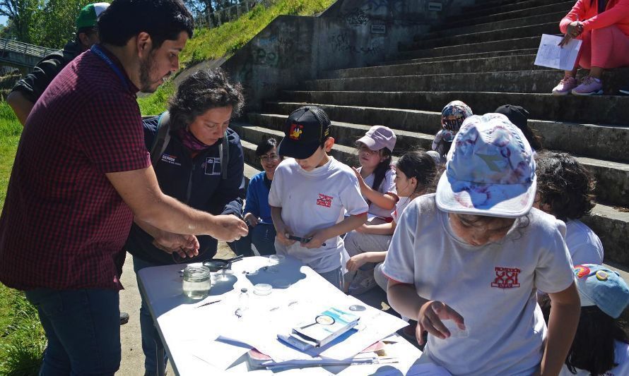 Revisa las postales que dejó el Patatour Educativo que congregó a pequeños osorninos