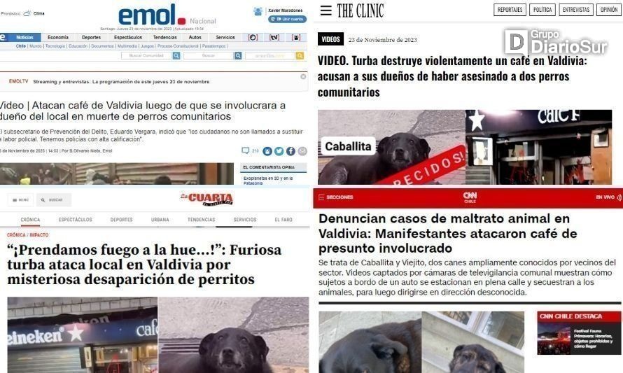 Desaparición de perritos valdivianos fue noticia a nivel nacional