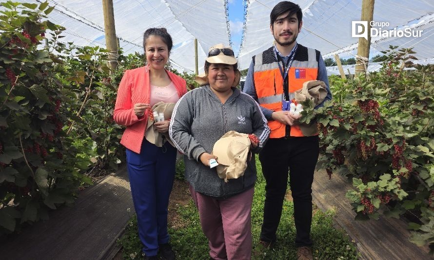 Fiscalizarán trabajos agrícolas de temporada en la Provincia de Osorno