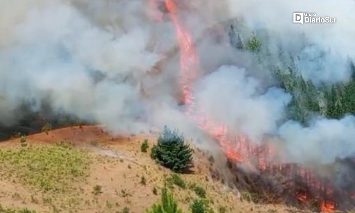 San Pablo en alerta roja por incendio forestal