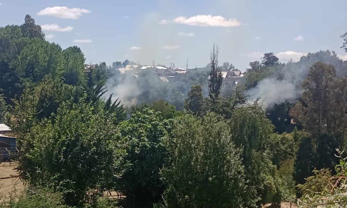 Incendio forestal en Osorno urbano moviliza a varias unidades de Bomberos 