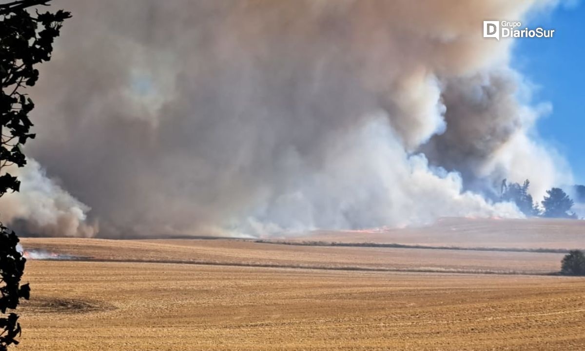Declarada Alerta Roja por incendio forestal en la comuna de San Pablo