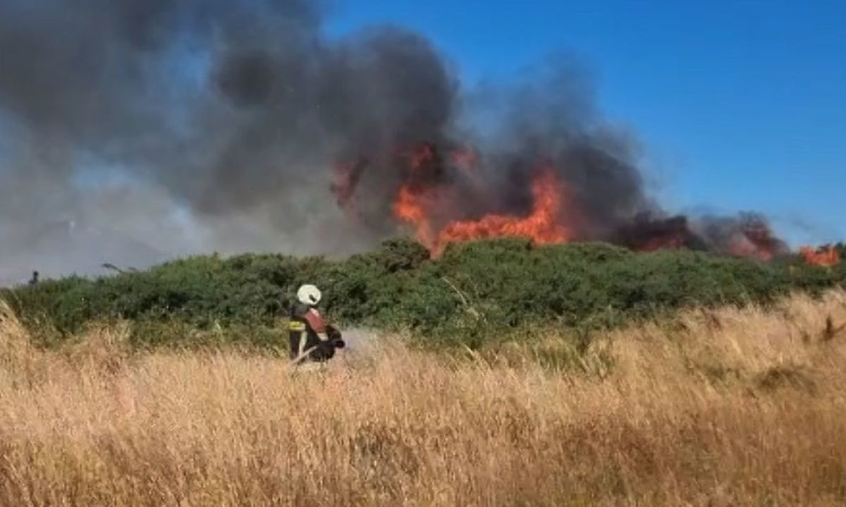 Balance de incendios forestales en Los Lagos: hay seis focos en combate