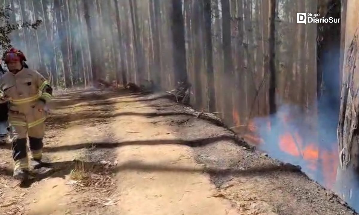 Decretan alerta roja por incendio en San Juan de la Costa