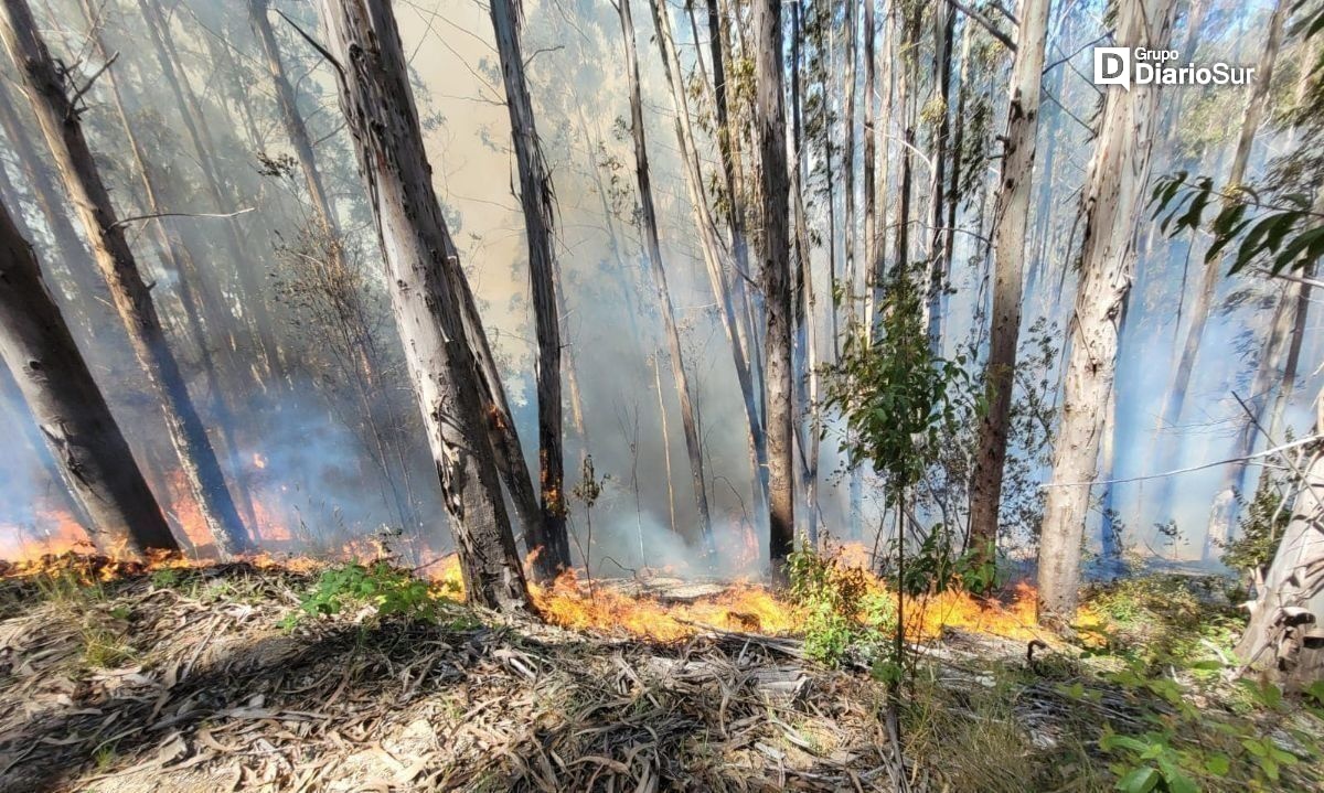 Continúan combatiendo incendio forestal de San Juan de la Costa