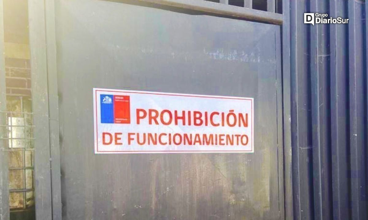 Prohíben funcionamiento de panadería en Osorno tras hallazgo de fecas de ratón
