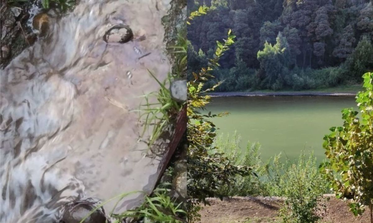 Denuncian nuevo caso de contaminación en río Rahue en Osorno