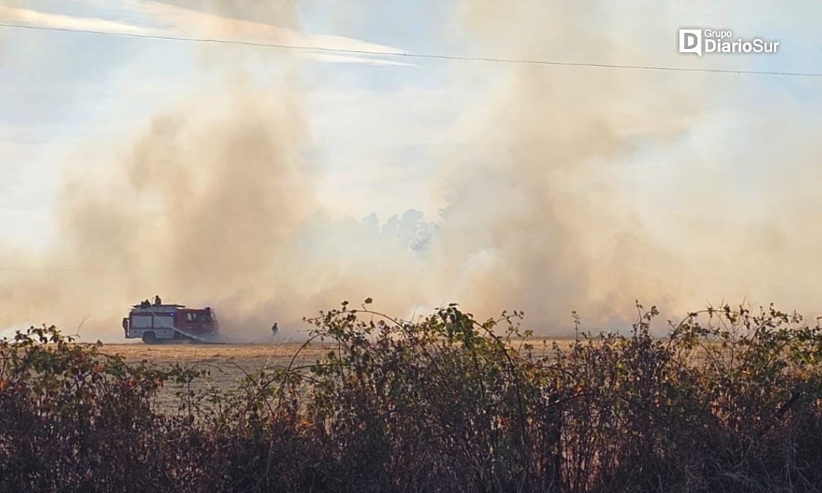 En combate se encuentra nuevo incendio forestal en la comuna de San Pablo