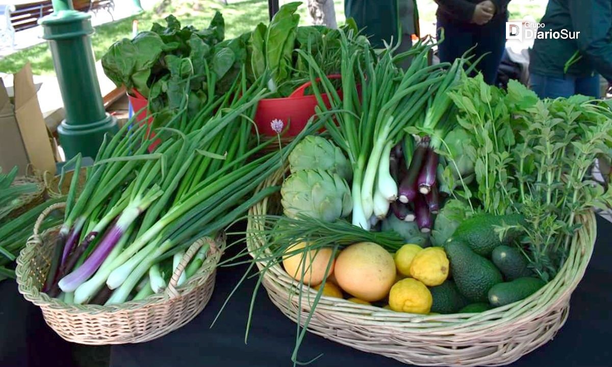 Inicio escolar verde: SAG promueve el consumo de productos orgánicos entre estudiantes