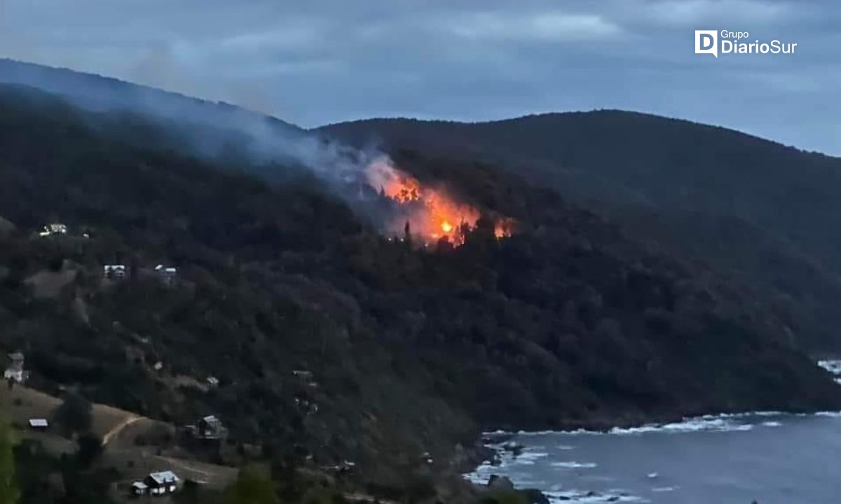 Un incendio forestal se inició en sector Tril Tril