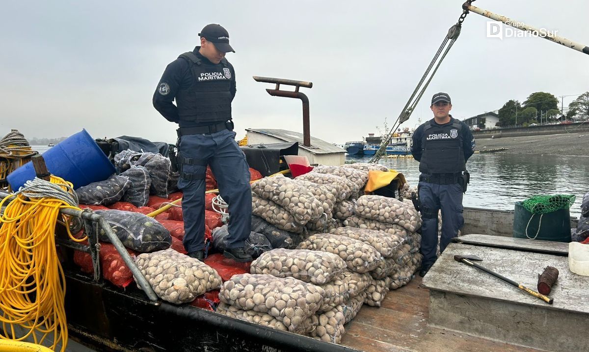 Decomisan mariscos intoxicados en la Región de Los Lagos