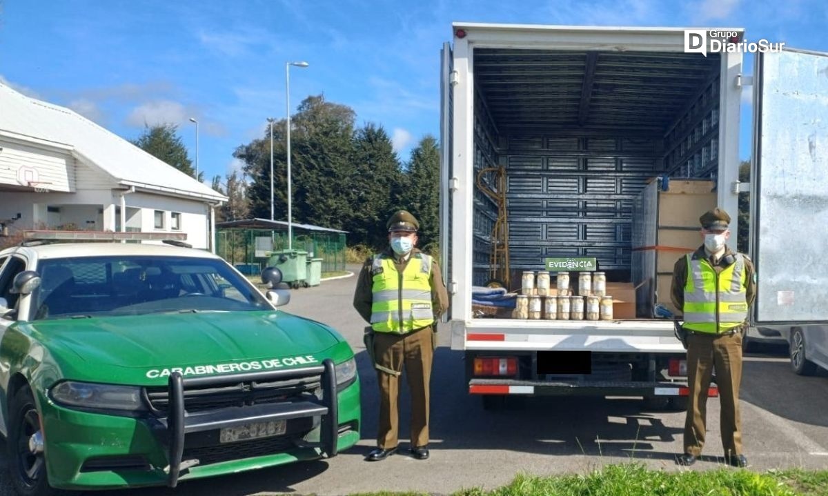 Carabineros y Sernapesca realizan importante decomiso de locos