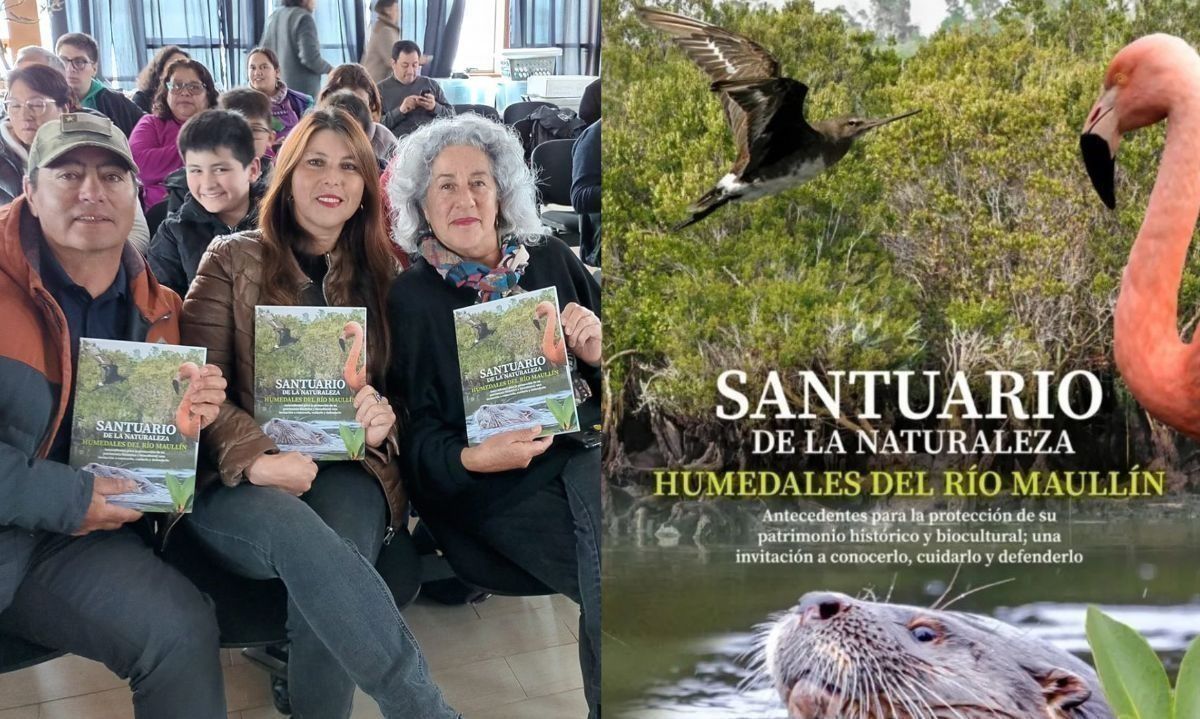 Libro "Santuario de la naturaleza Humedales del río Maullín" invita a conocer y resguardar el espacio natural