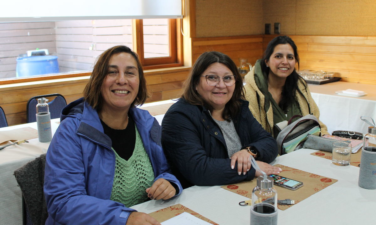 Lanzan proyecto en apoyo al emprendimiento femenino en Región de Los Lagos 