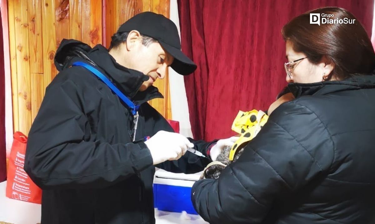 Seremi de Salud vacuna a mascotas en Osorno