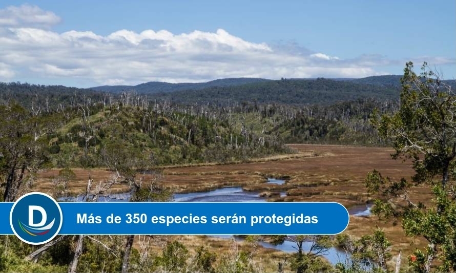 Publican decreto que declara a la Cuenca del río Chepu como Santuario de la Naturaleza