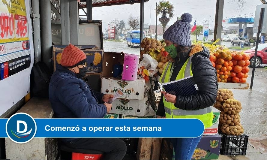 Orientadores municipales recorren las calles de Purranque 