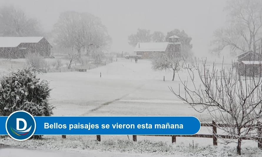 Dirección Meteorológica explicó razones de la sorpresiva nevazón