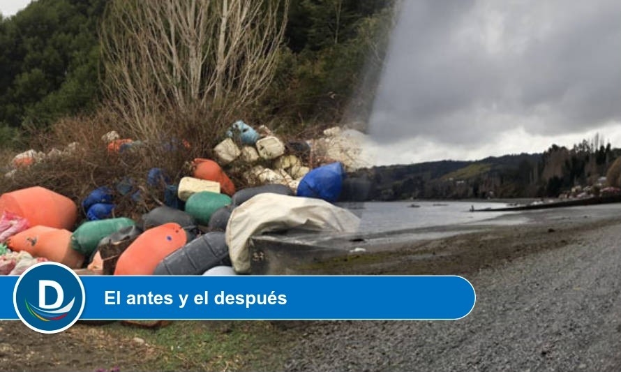 Avanza limpieza de playas contaminadas por empresas acuícolas en Chiloé 
