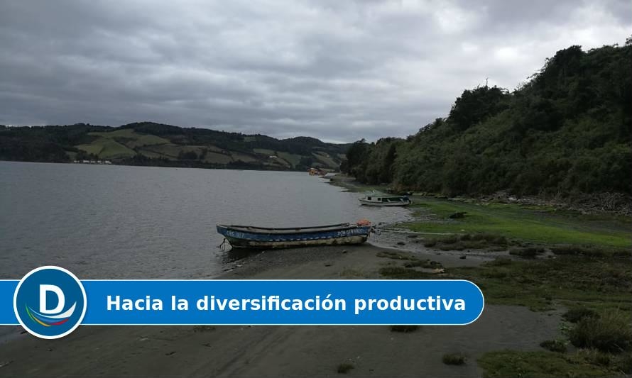 Pescadores de Isla Quehui habilitarán mirador para avistamiento de aves 