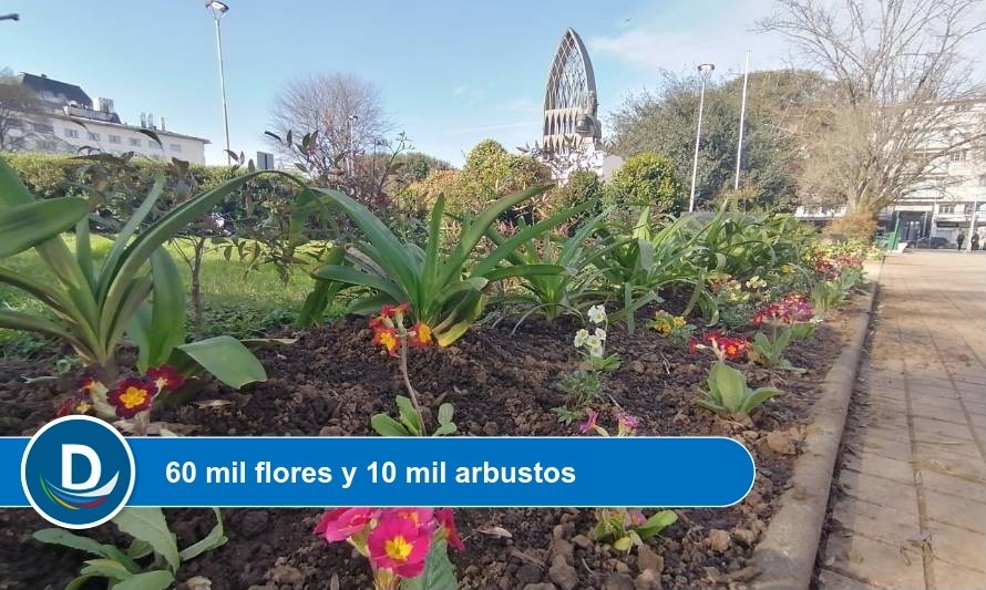 Osorno se prepara para llegada de la primavera hermoseando áreas verdes y avenidas  
