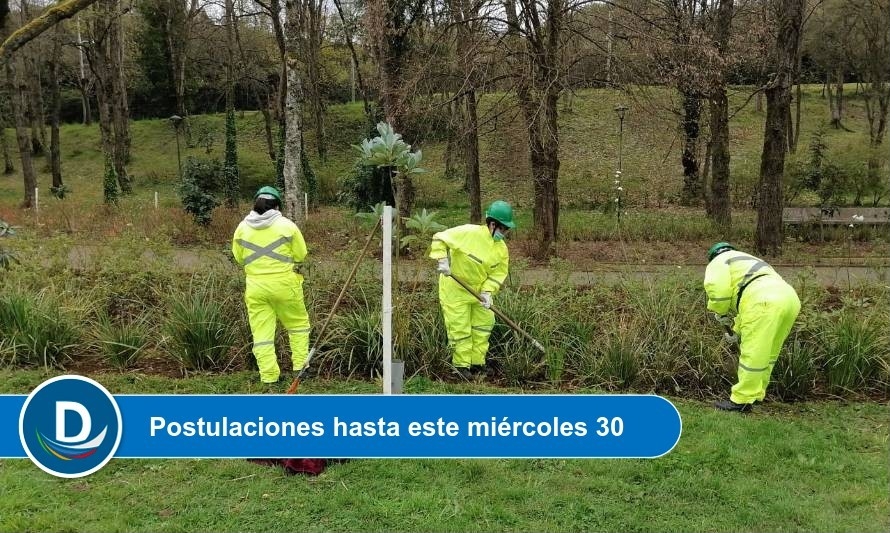 Vecinos de Osorno aún pueden inscribirse para optar a cupos de empleo de emergencia