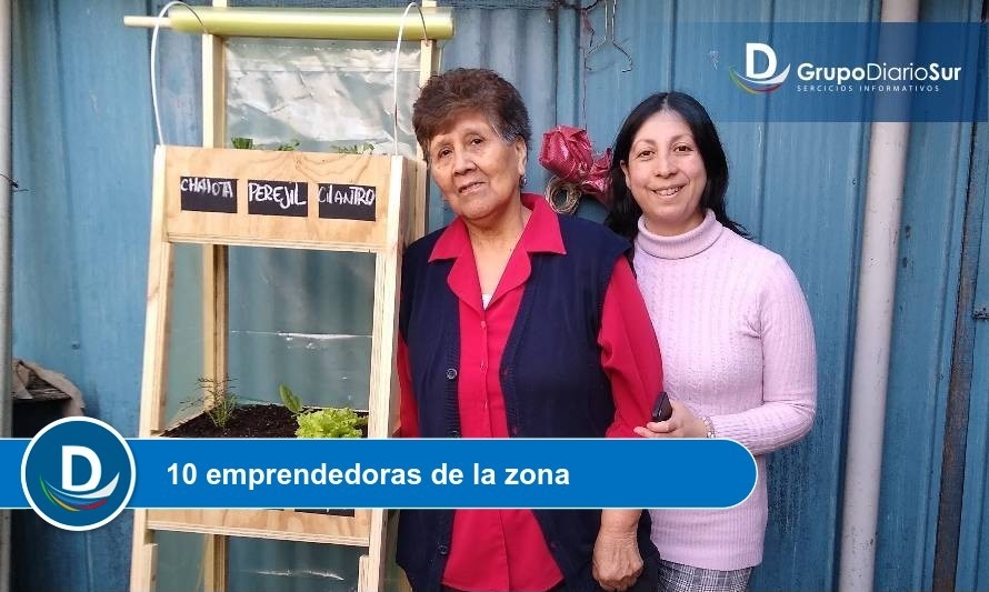 Cooperativa de agricultoras de Osorno apuesta por huertos verticales de hortalizas