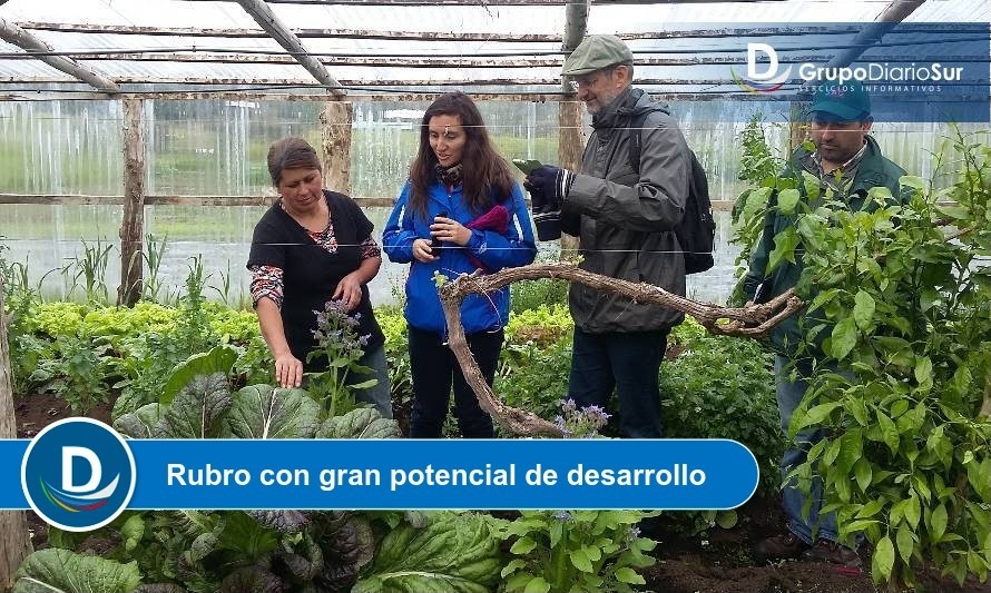 Analizaron las ventajas de la agricultura orgánica en la región 